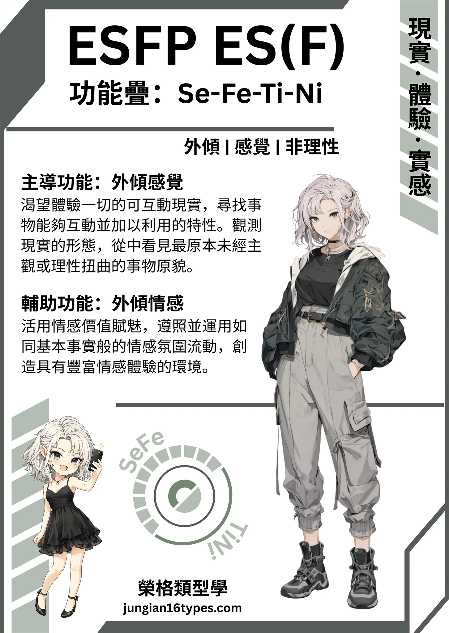 ESF 類型測驗結果圖